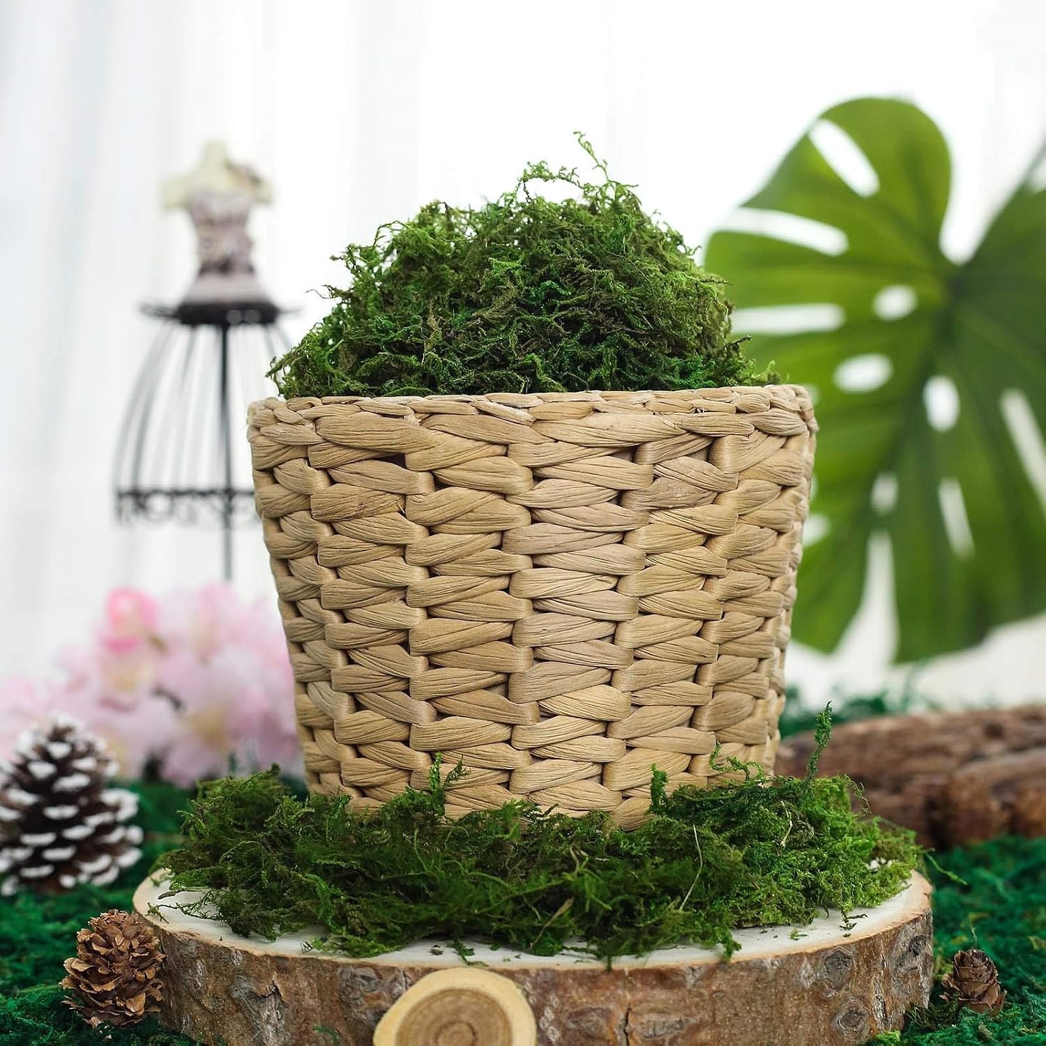 225g Compressed Faux Moss in Fresh Green – Ideal for Centerpieces & Crafts