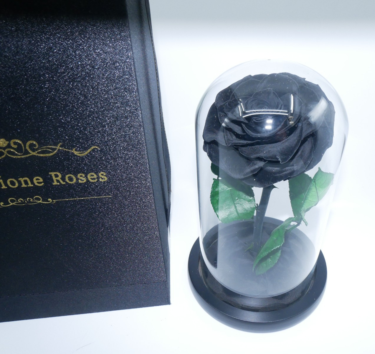 Perfectione Roses Black Rose Preserved Flowers