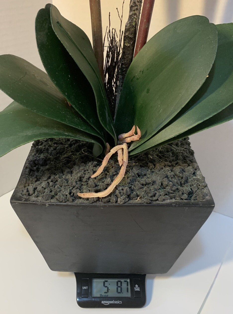 Artificial Red Orchid Planter