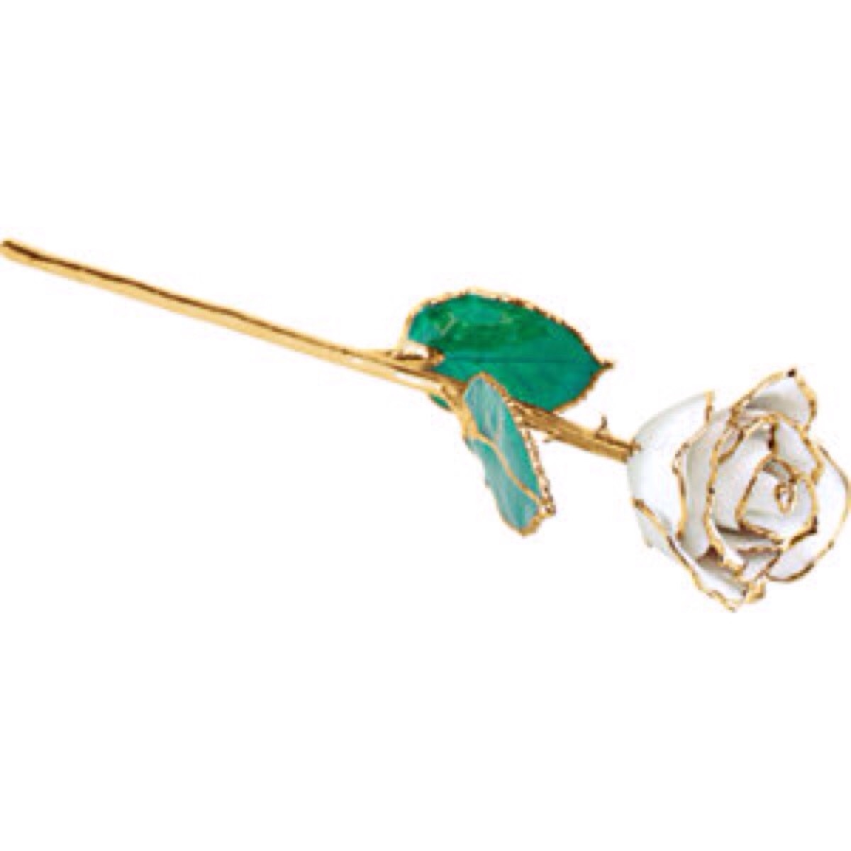 24K Yellow Gold Trimmed White Rose April Diamond White Real Long Stem Rose