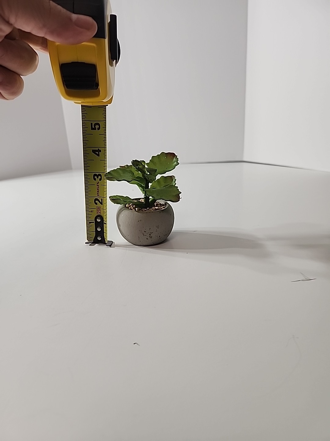 Tiny Articifial House Plant. 4 Inches Tall. Concrete Style Pot.