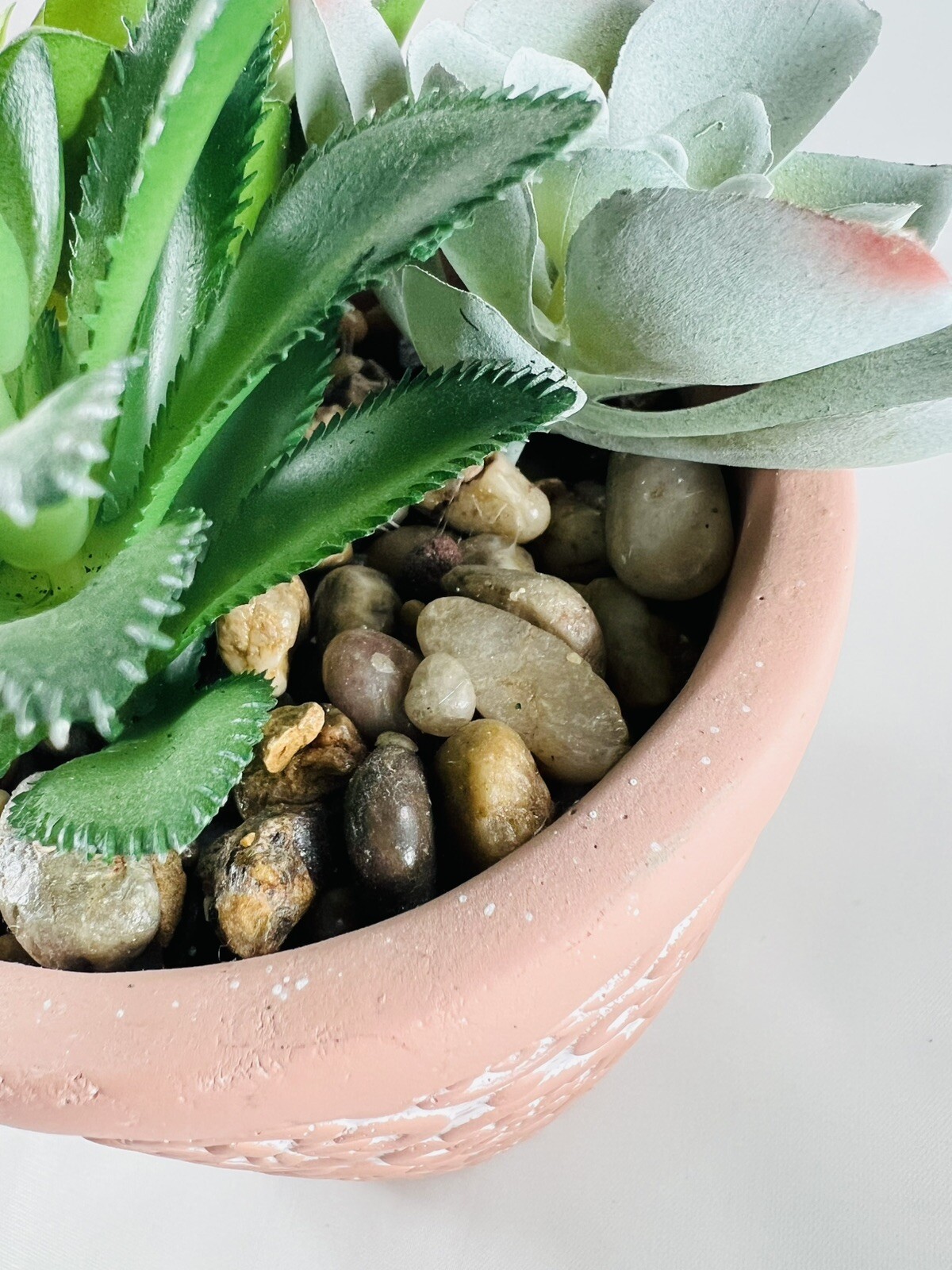 Artificial Succulents in Clay Embossed Pot, 6.5″ tall