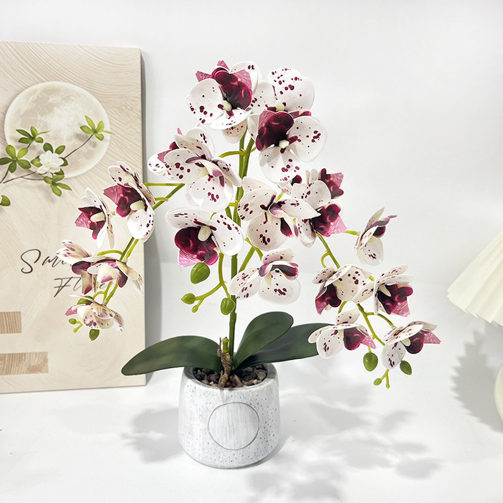 Synthetic Butterfly Orchid in Matte Cement Pot for Modern Farmhouse Decor Style