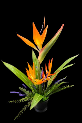 Artificial bird of paradise on disc table decoration, weddings, centerpiece OR