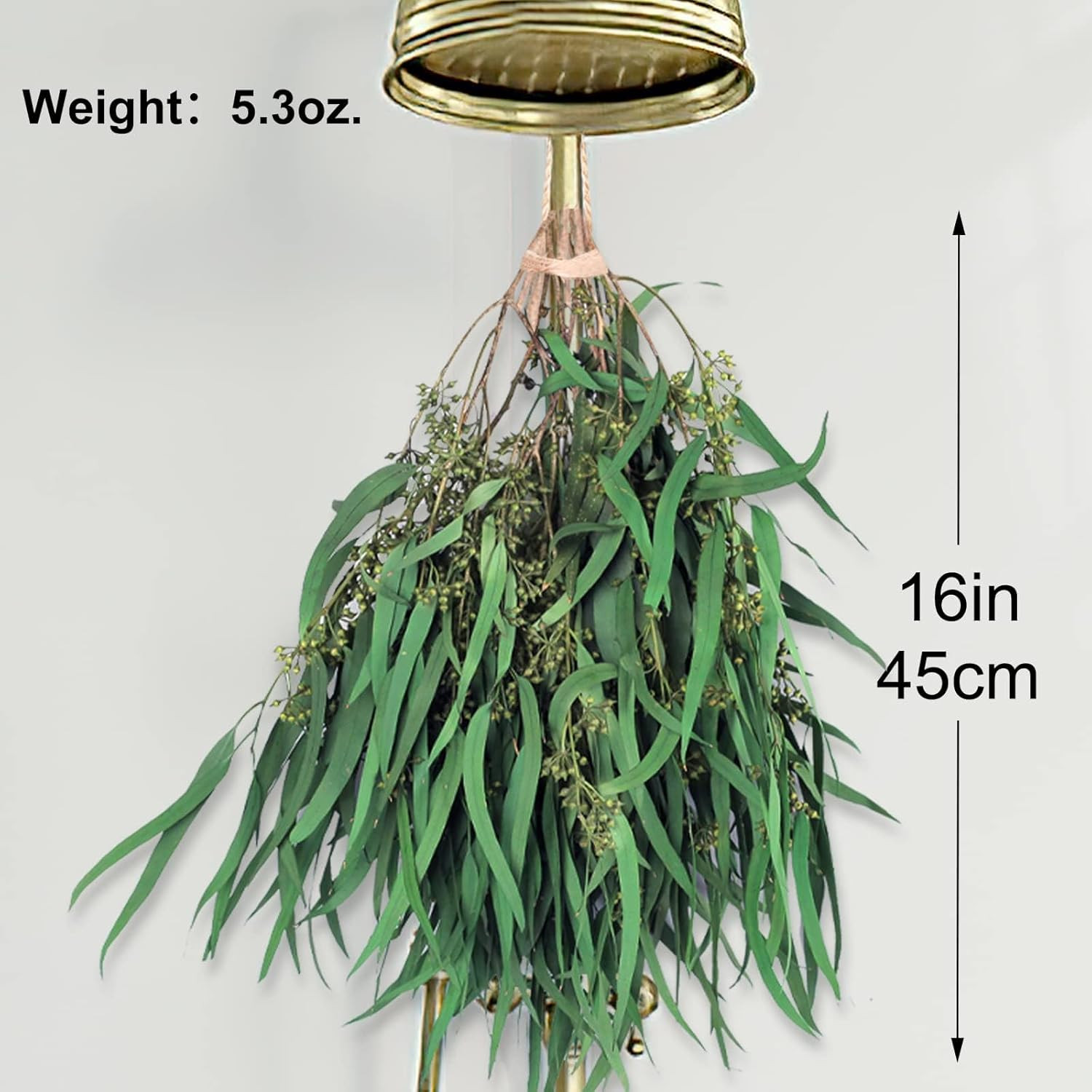 17” Real Dried Seeded Eucalyptus Stems for Shower, Preserved Natural Eucalyptus