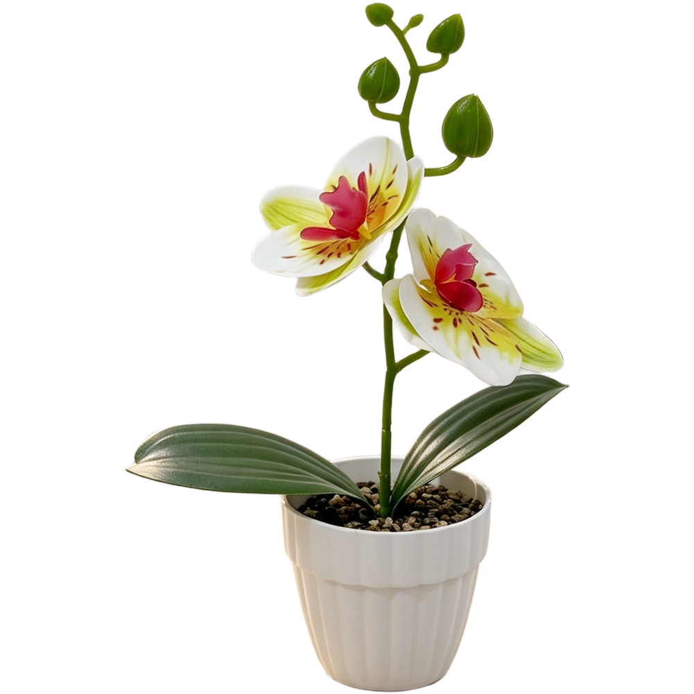 White Green Black Purple Orange 3D Printed Orchid Artificial Plant Pot