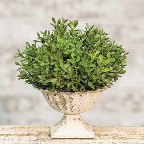 ENGLAND BOXWOOD HALF SPHERE Artificial Greenery 7″ wide x 5″ tall NEW