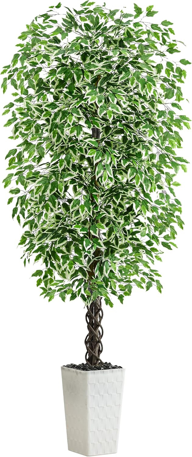 7FT Artificial Ficus Tree with White Planter – Lifelike Indoor/Outdoor Decor