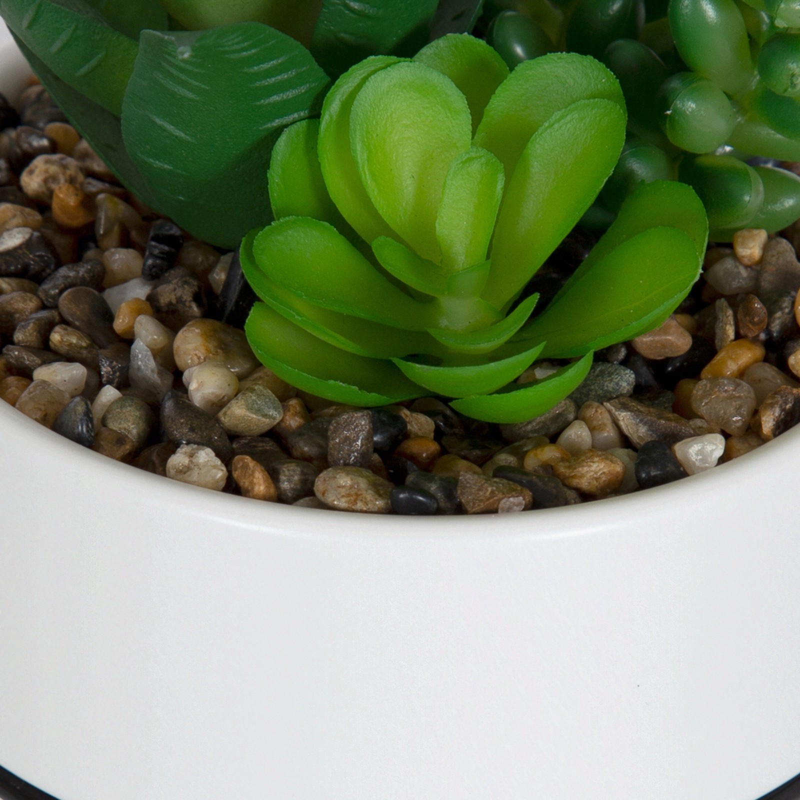 6-pack 6.5″ Artificial Agave and Sedum Succulents in Ceramic Planter, Multicolor