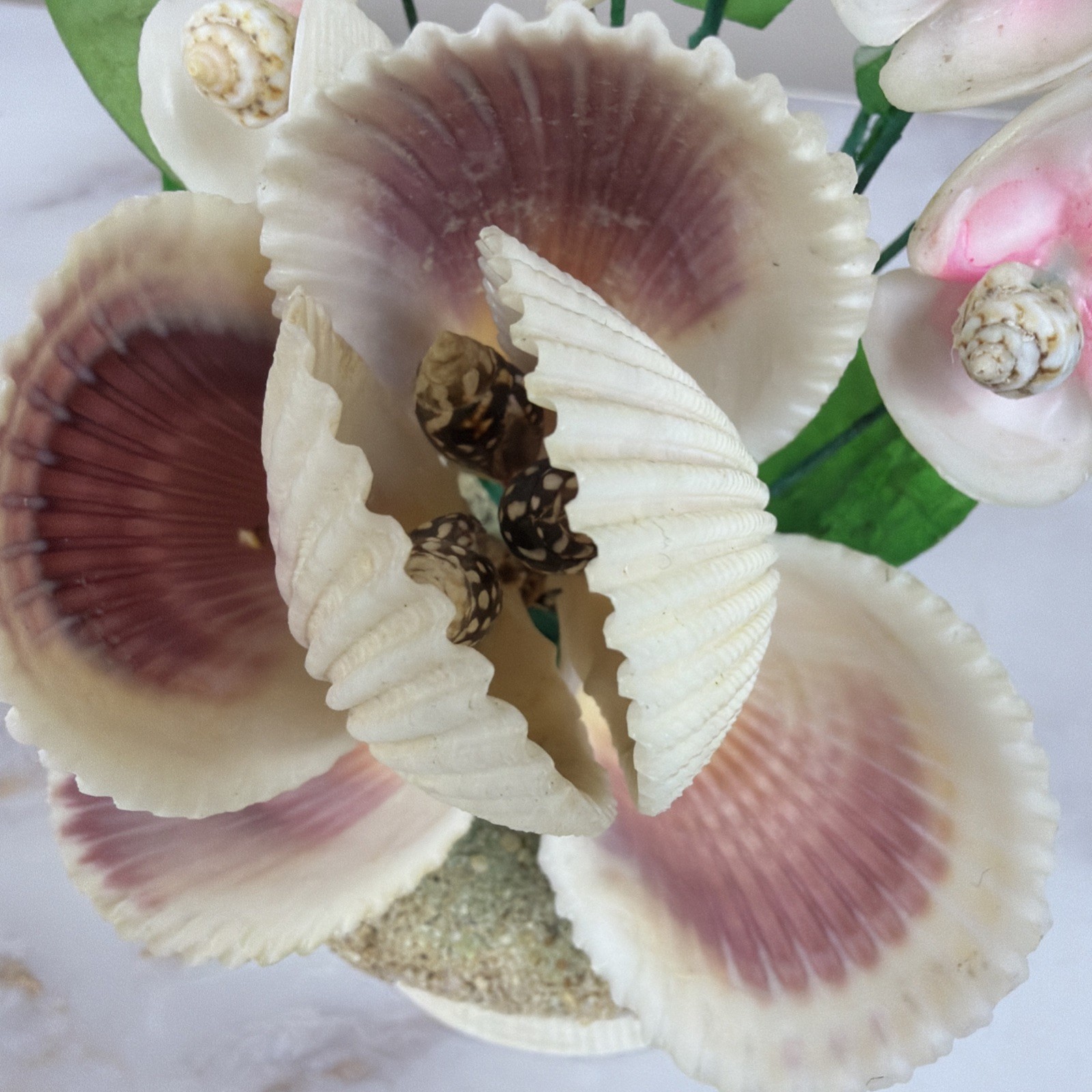 Vintage Sea Shell Floral Bouquet Kitsch Coastal Cottagecore Rare Shell Arrangeme