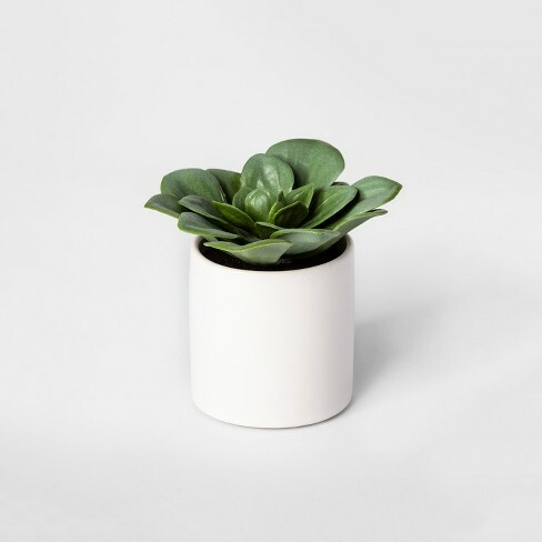 Project 62™ Artificial Green Dudleya Succulent In White Pot Set of 2 4.5″ x 4″