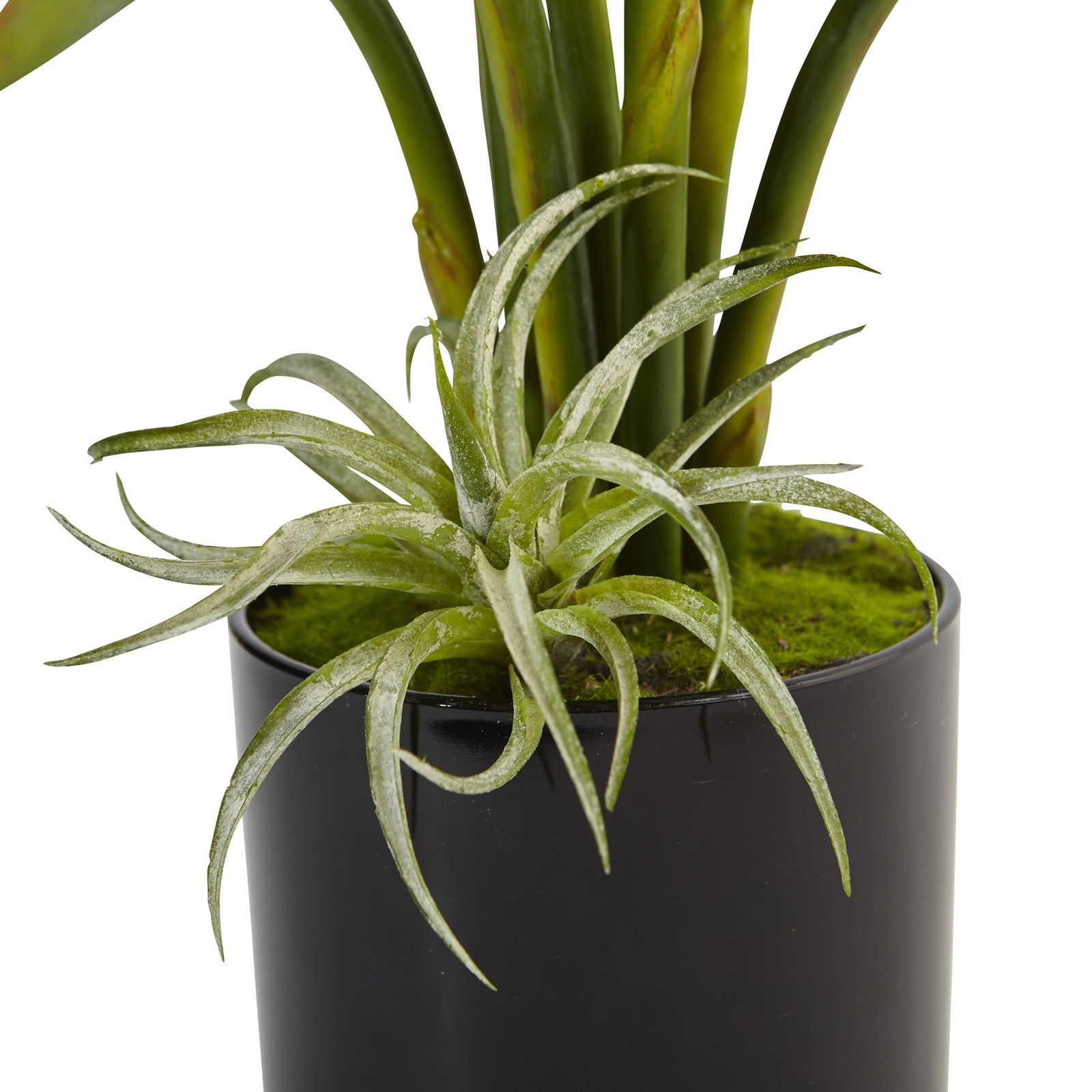 24 Inch Bird of Paradise Faux Plant in Black Glossy Cylinder Planter Vibrant