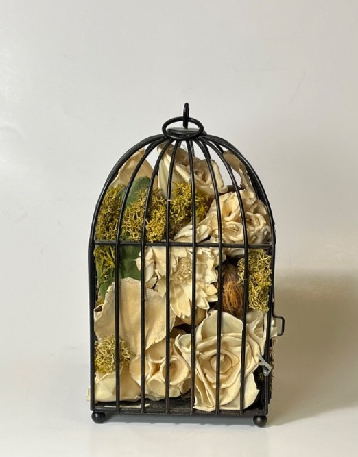 Wrought Black Rim Wire Hanging Dried Beige Floral Flower Arrangements BIRD CAGE