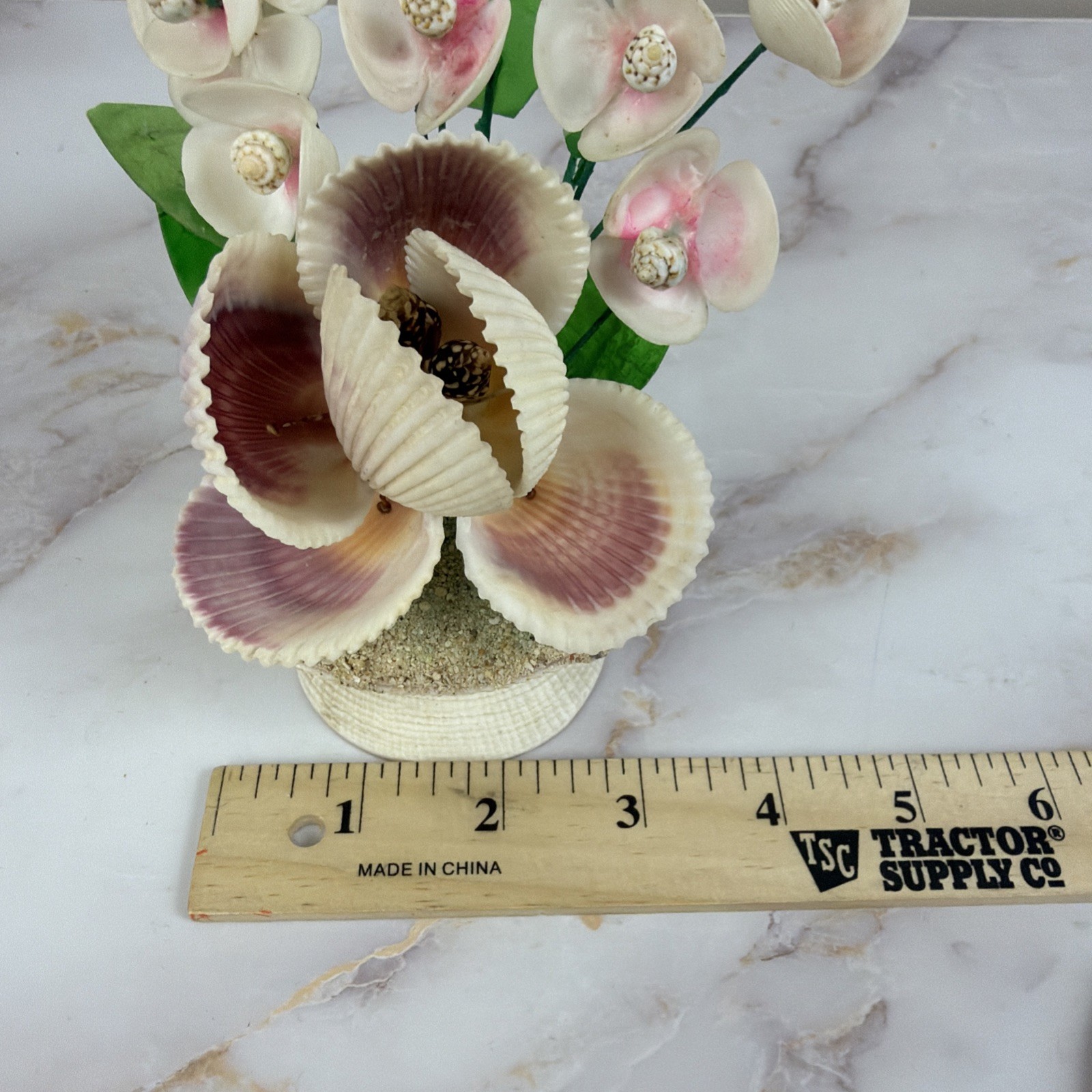 Vintage Sea Shell Floral Bouquet Kitsch Coastal Cottagecore Rare Shell Arrangeme