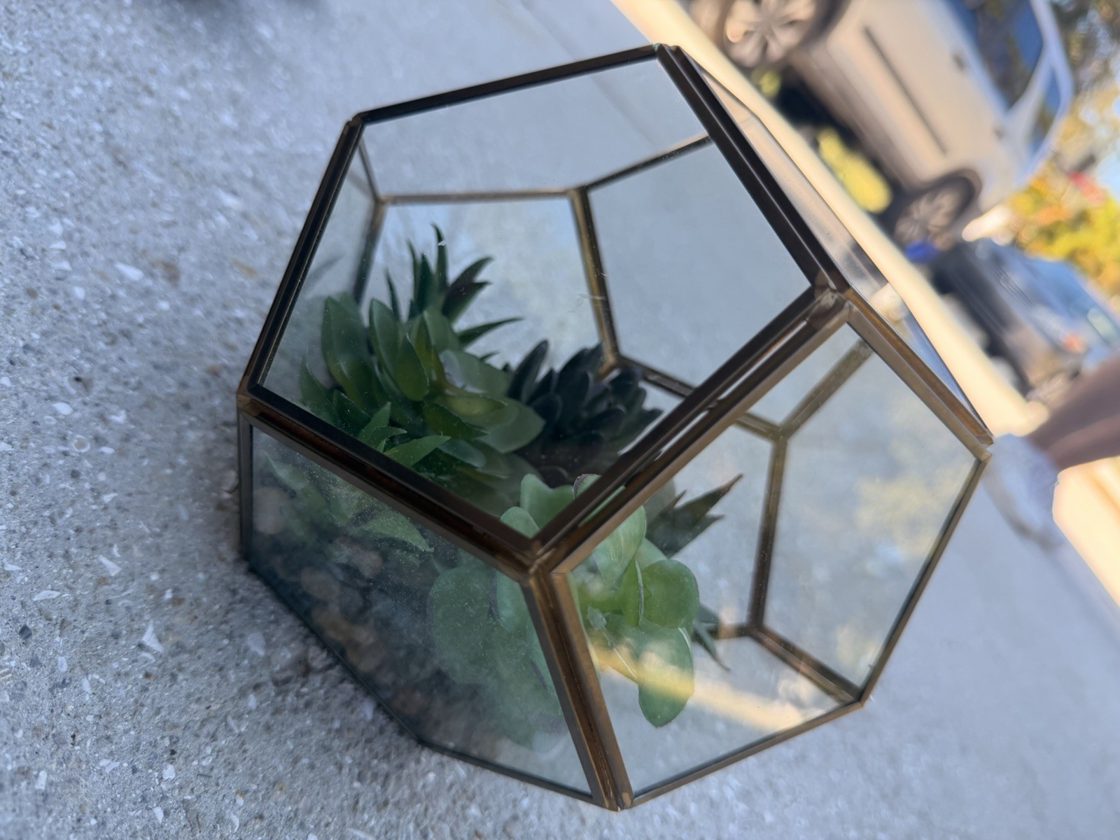 Geometric Glass Terrarium Decor with Faux Succulents & Gold Metal Frame