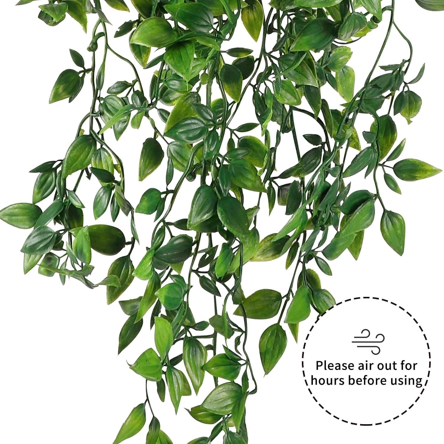 Maintenance-Free Hanging Plants for -Round Greenery – Indoor & Outdoor