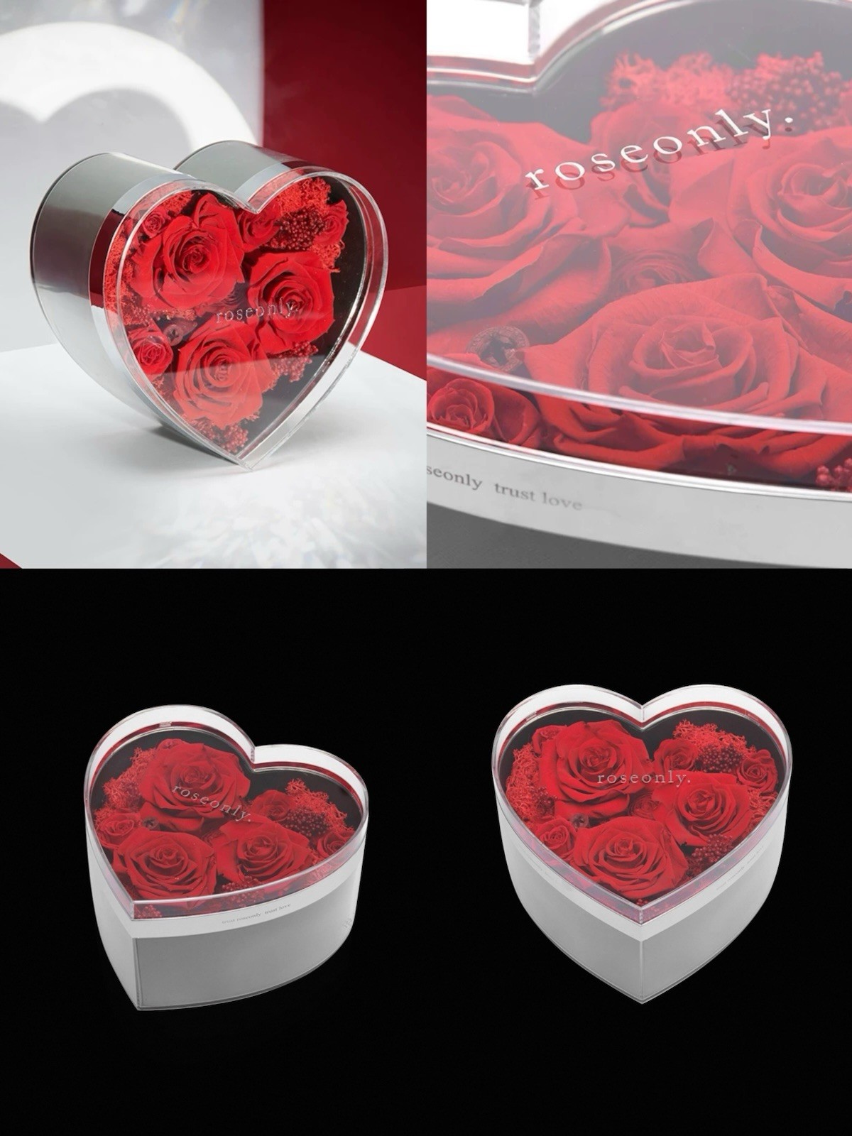 Red Eternity Rose Brand New Valentine Gift