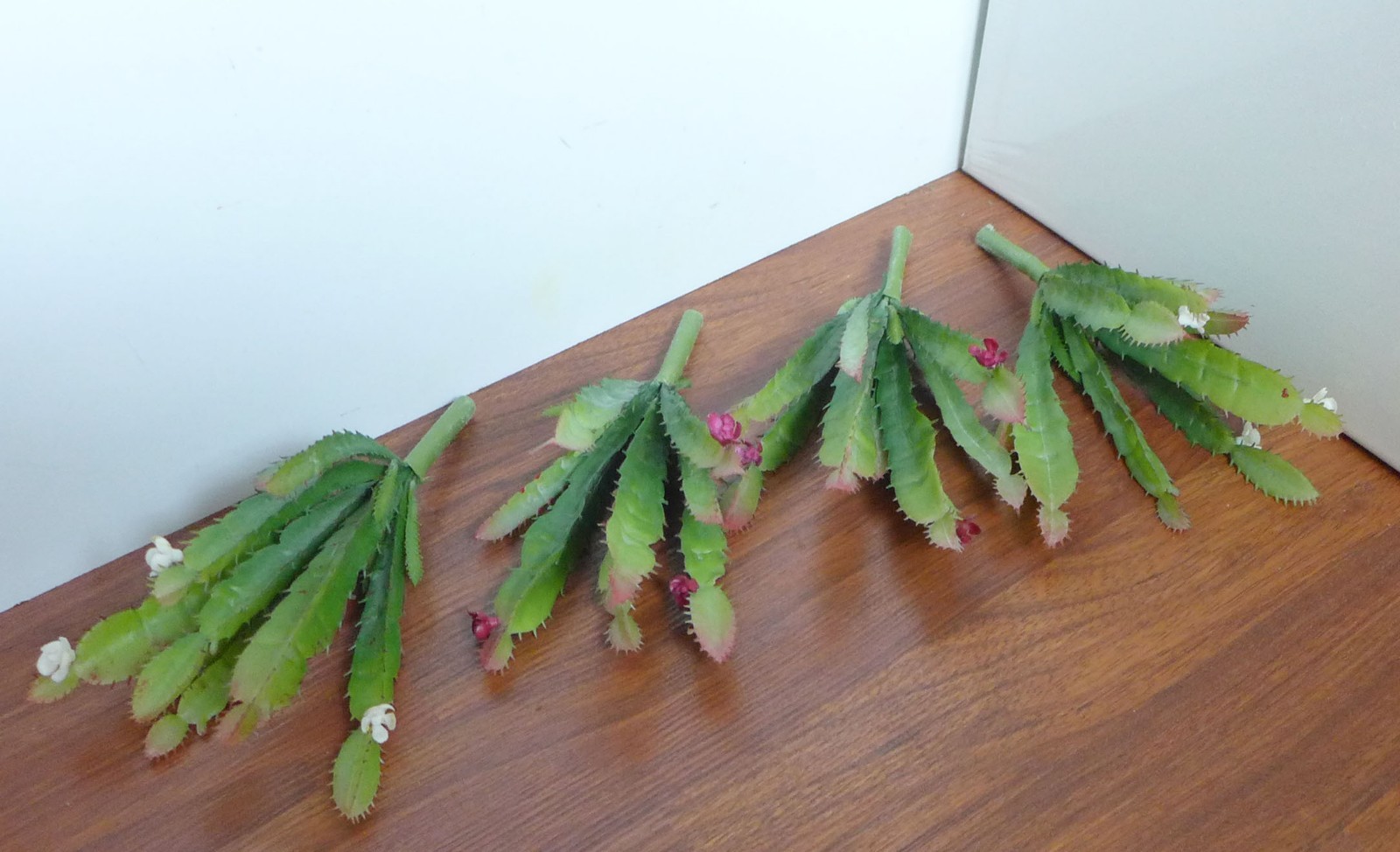 4 Artificial Blooming Cactus Plastic Grass Succulents Landscape