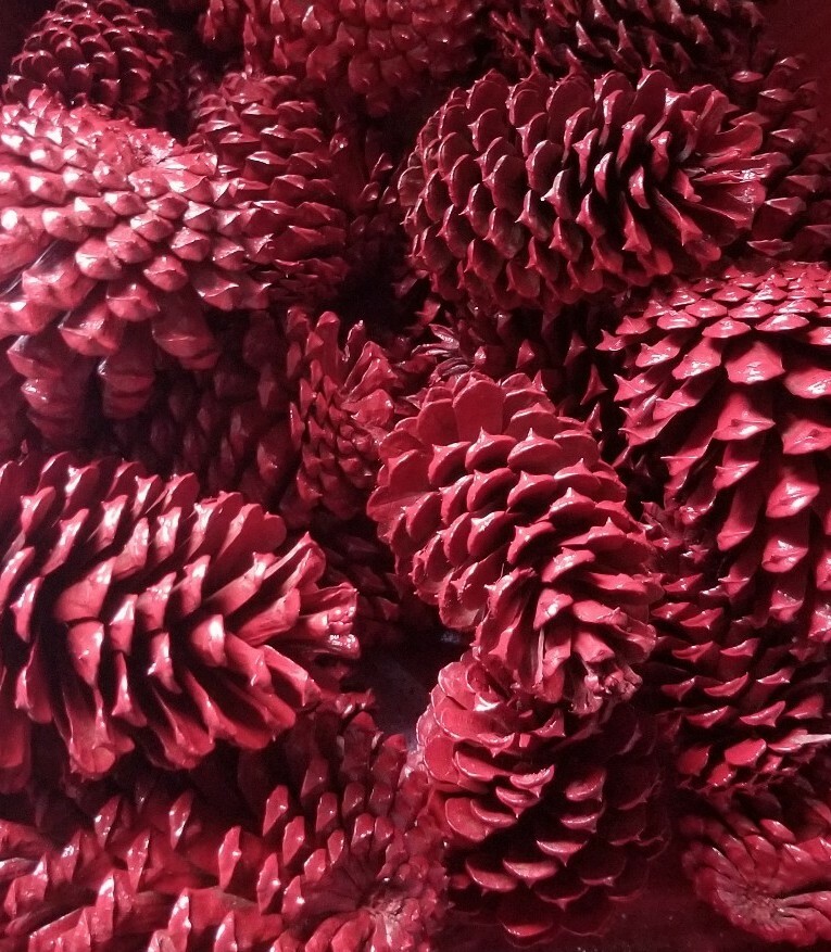 🎅15 Red Pine Cones Hand Painted Natural Premium Ponderosa Cones