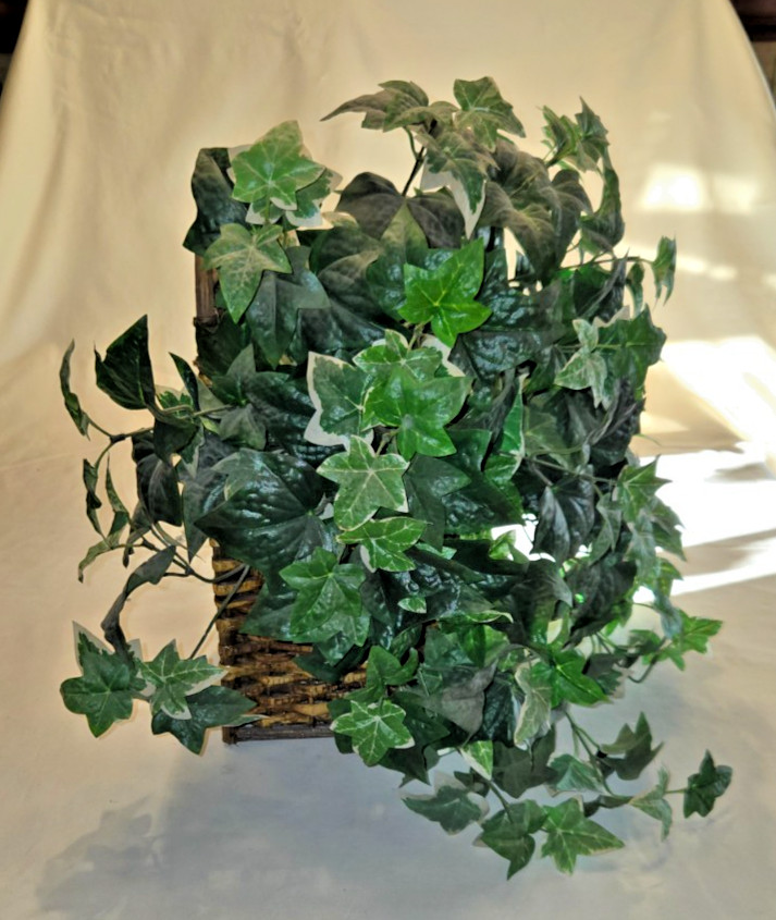 Artificial Ivy Plant in a Ledge Basket