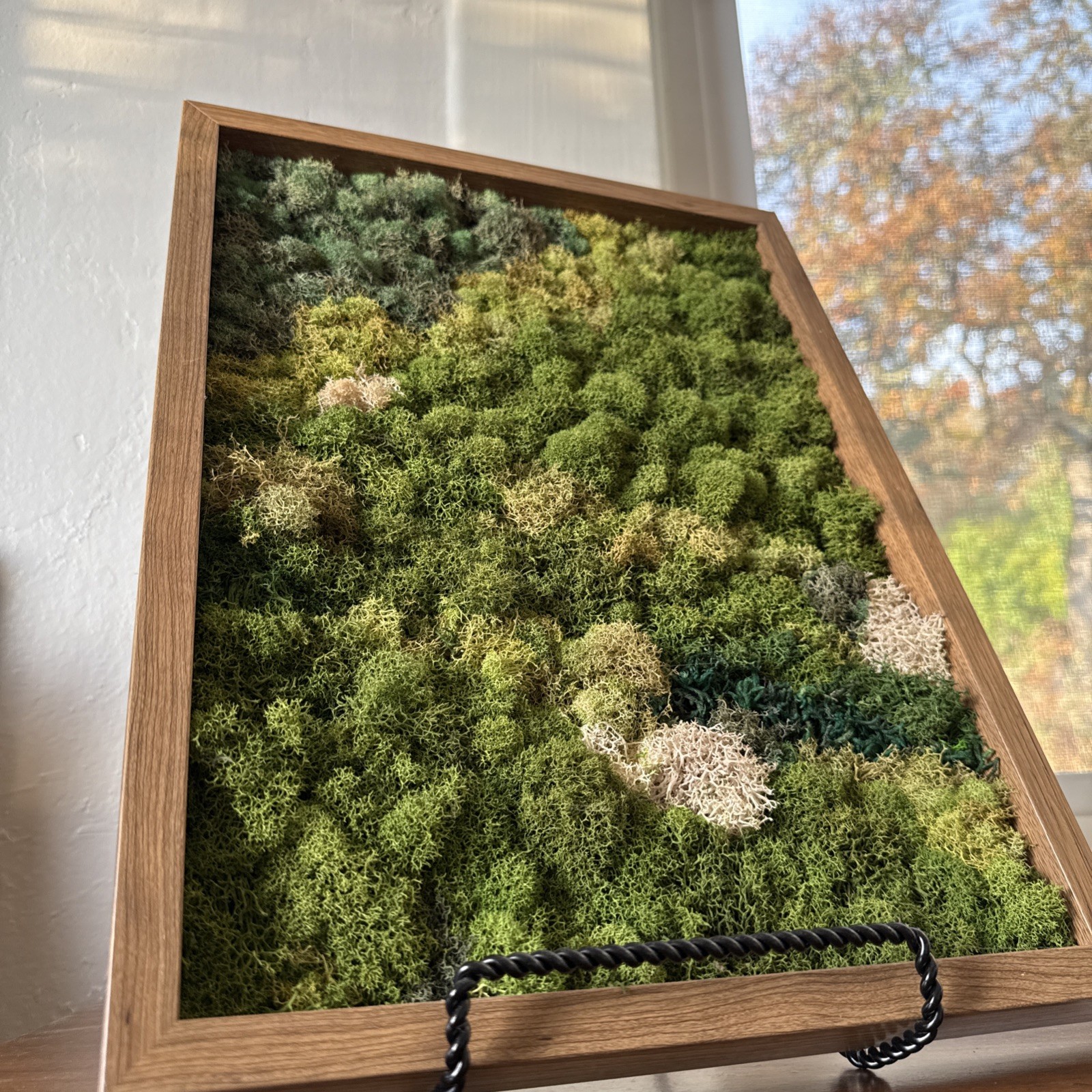 Preserved Moss Wall Art, Handmade, Wood Framed
