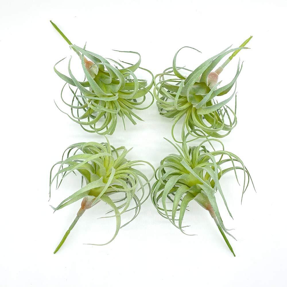 4 Pack Artificial Air Plants Flocked Tillandsia Bromeliads Terrarium Decor