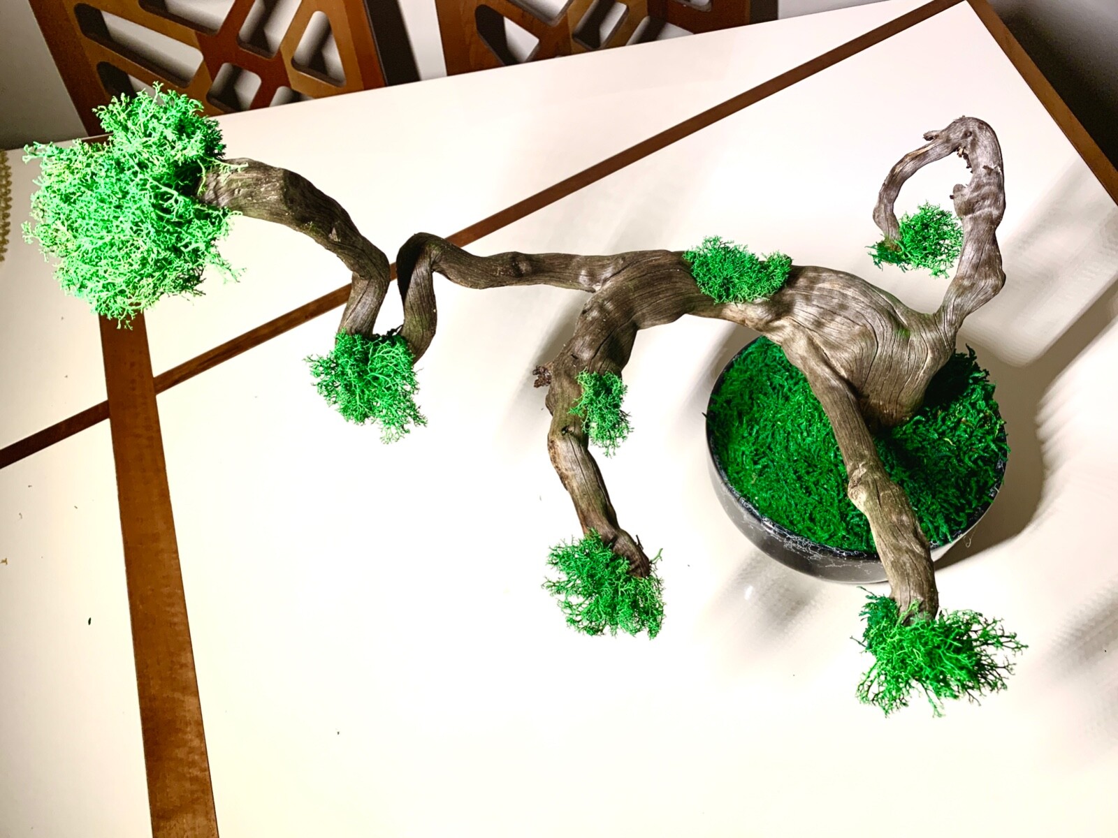Ceramic Vase Tree Moss Art,Real Tree Branch, Handmade Home Decor, Nature Decor