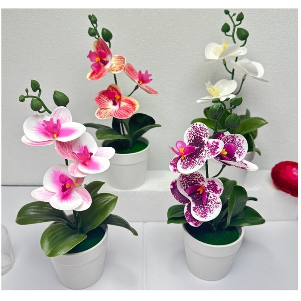 Modern Minimalist Phalaenopsis Orchid Bonsai Potted Plant for Tabletop Use