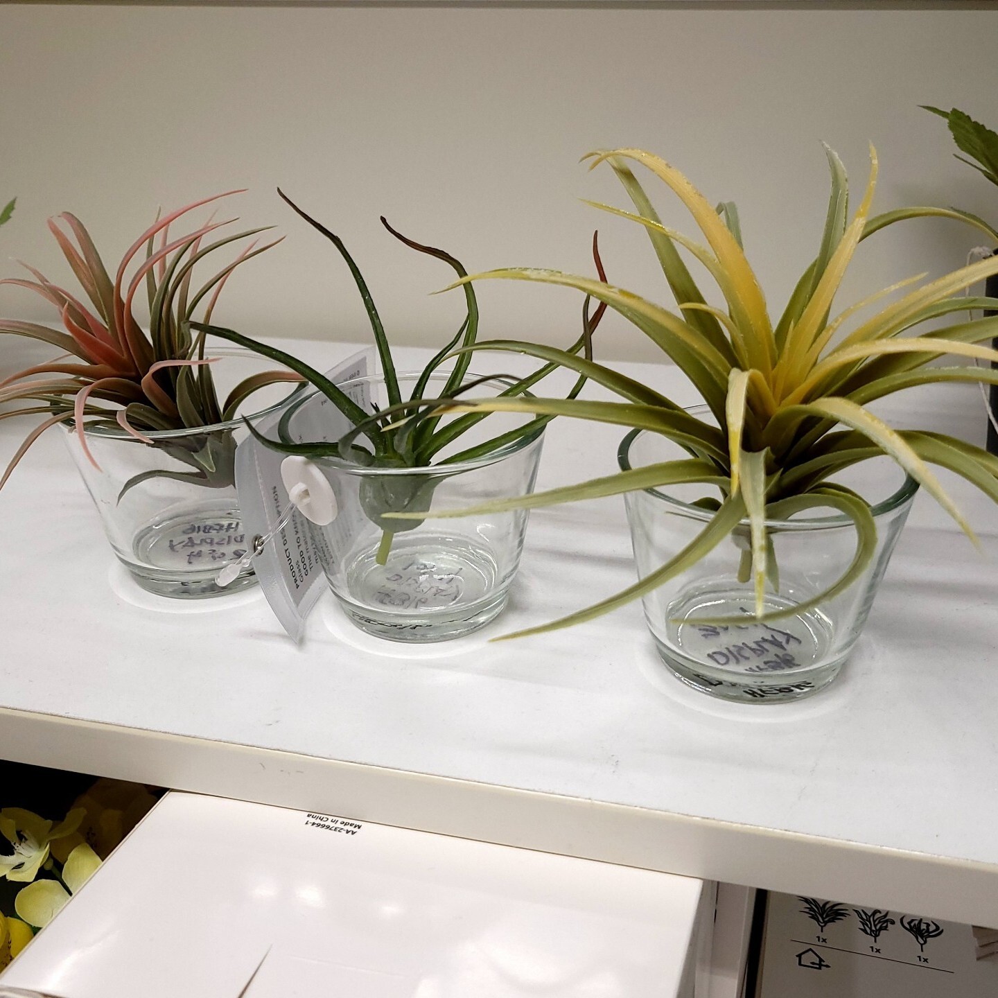 IKEA FEJKA Artificial Plant Set Of 3 Air Plant 805.599.61