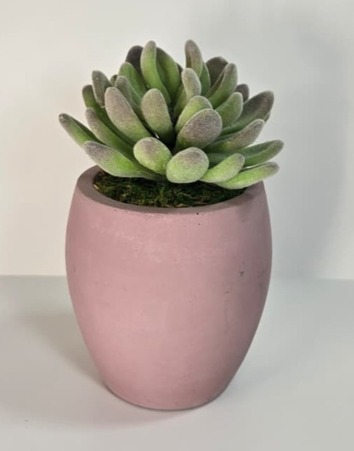 Modern Concrete Succulent in Pink Pot – Handmade Decor, No Water Needed!