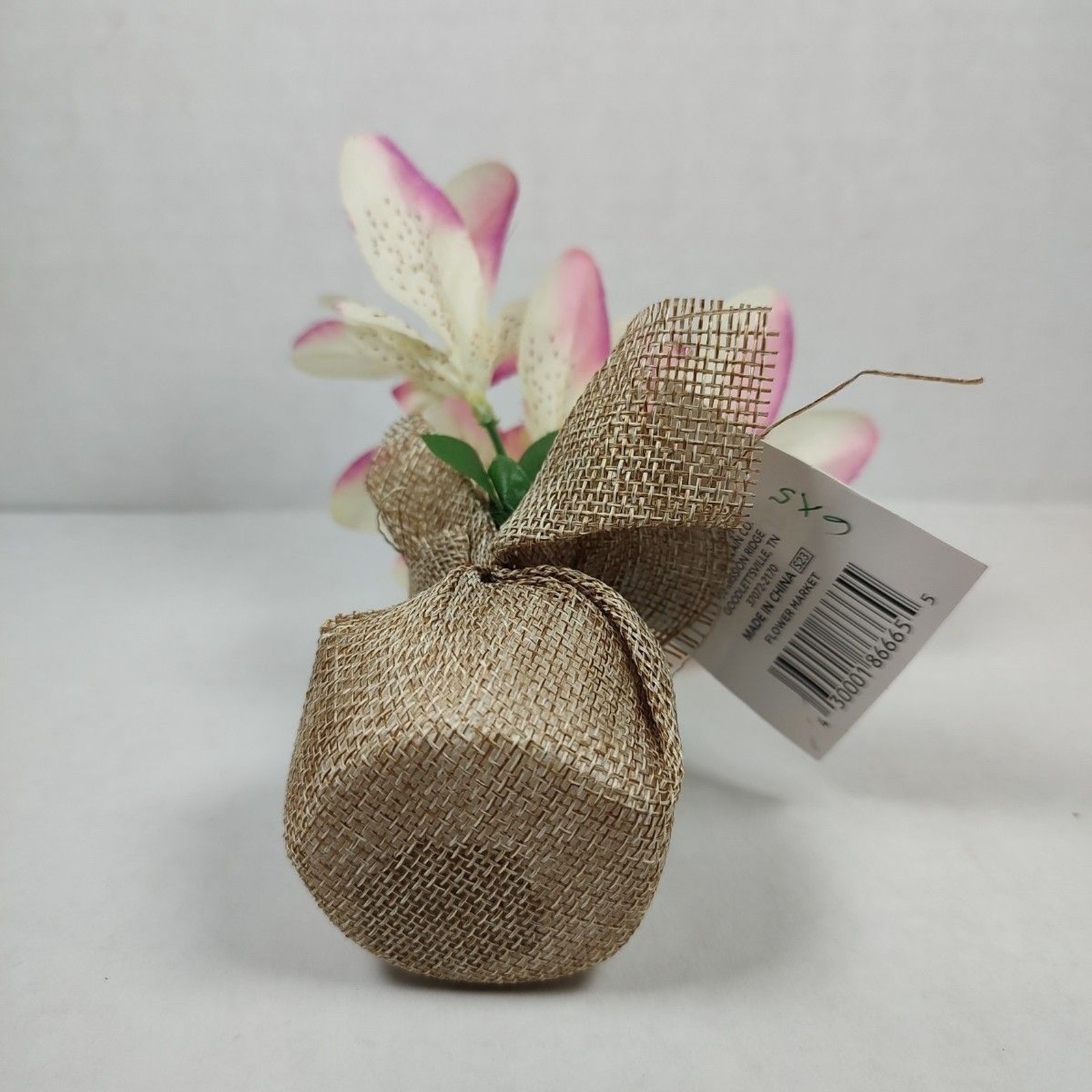 Trueliving Floral Arrangement Flower Bouquet Mini Potted Plant 6″ x 5″ Lily