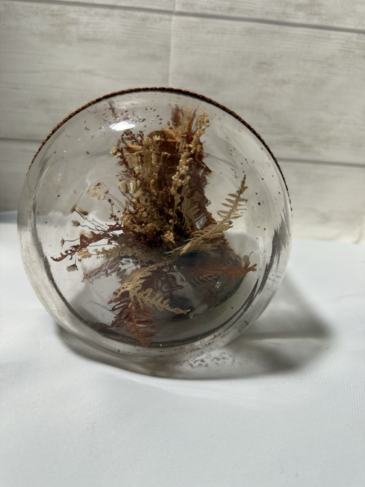 Vintage Bowl O Beauty Plant In A Bottle , Mcm , Brown Floral Made In Thailand