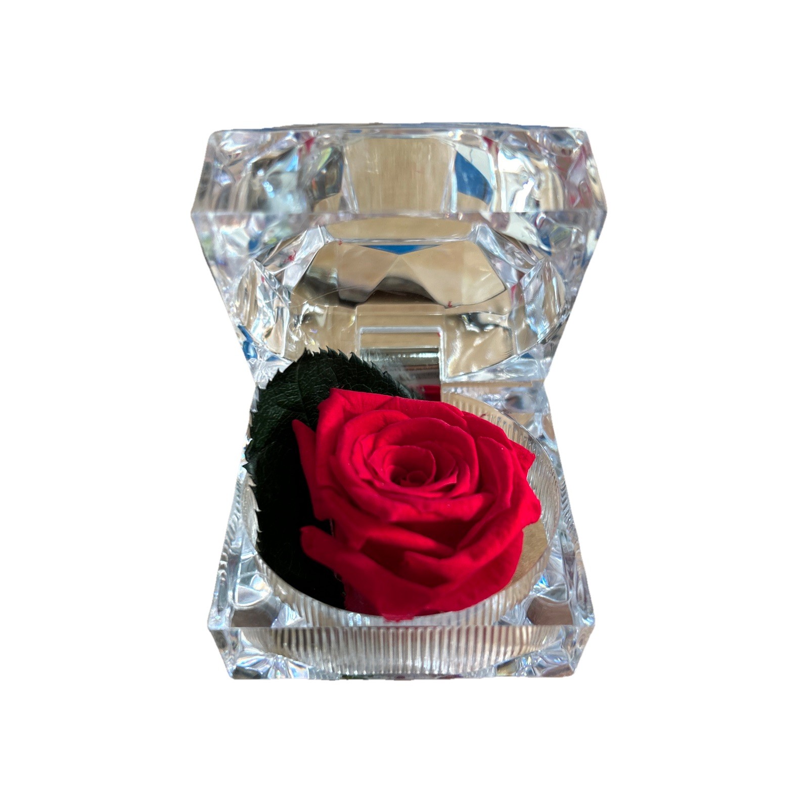 Verdissimo Preserved Eternity Forever Red Rose In Ring Box Valentine Proposal