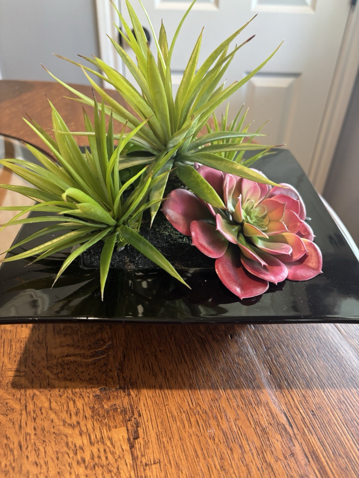 Pier 1 Imports Faux Succulent & Black Glass Organic Arrangement Retired