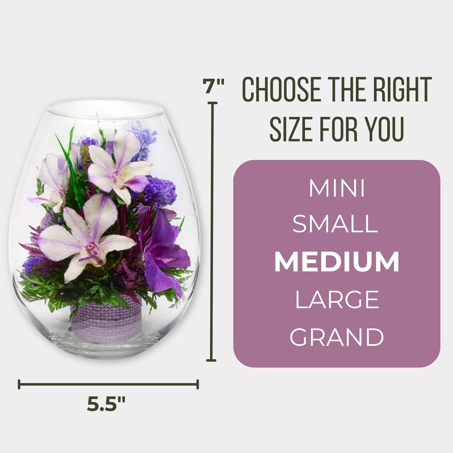 Fiora Flower Elegant Orchid Arrangement in Glass Vase Preserved Real Orchids L