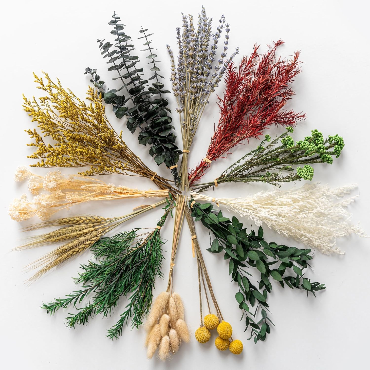 12 Kind Dried Flowers Set Natural Floral Bouquet for DIY Crafts Wedding Home Dec