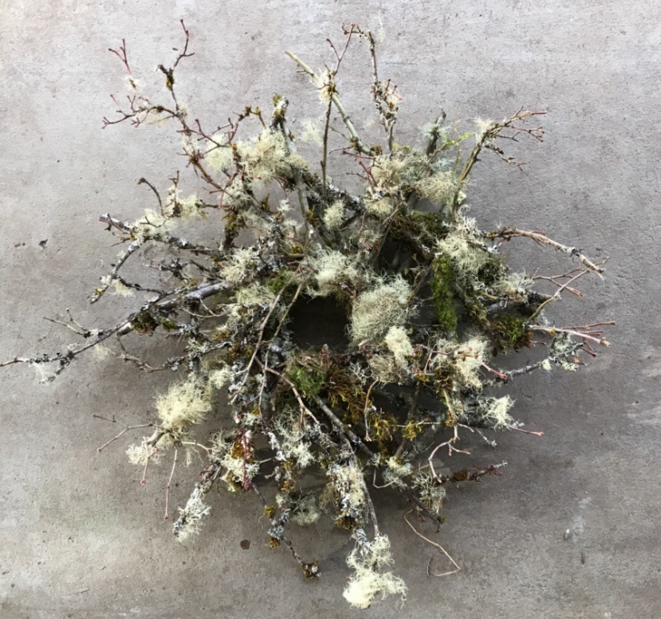 Natural Wreath Lichen Wreath Handmade Decoration Organic Wreaths Home Decor