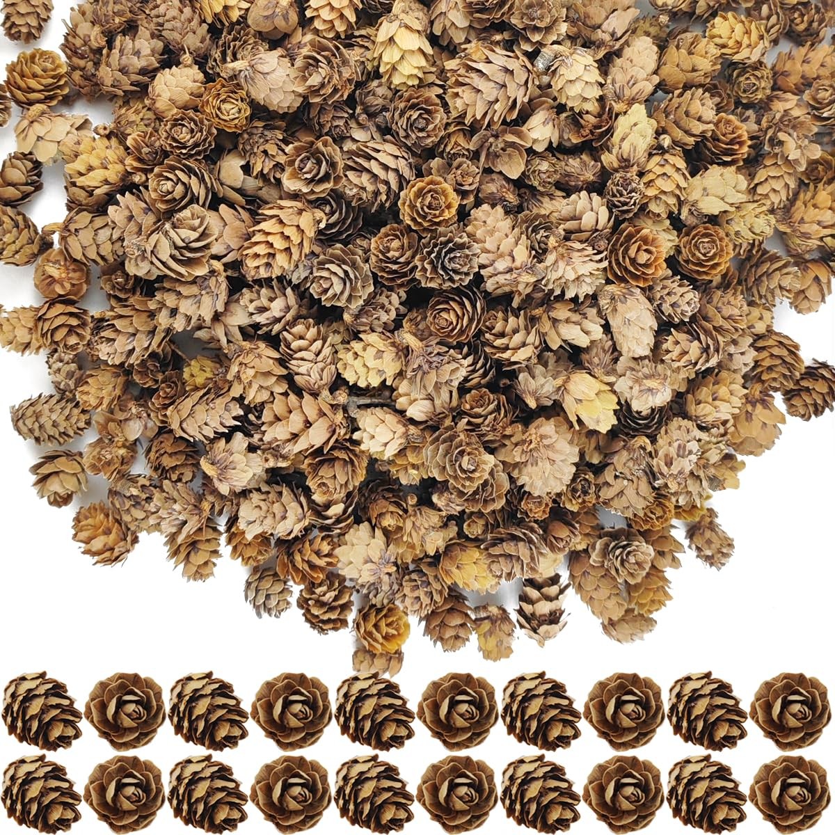 160 Pcs Natural Pine Cones Small Pinecones Ornaments Vase Filler for DIY Crafts
