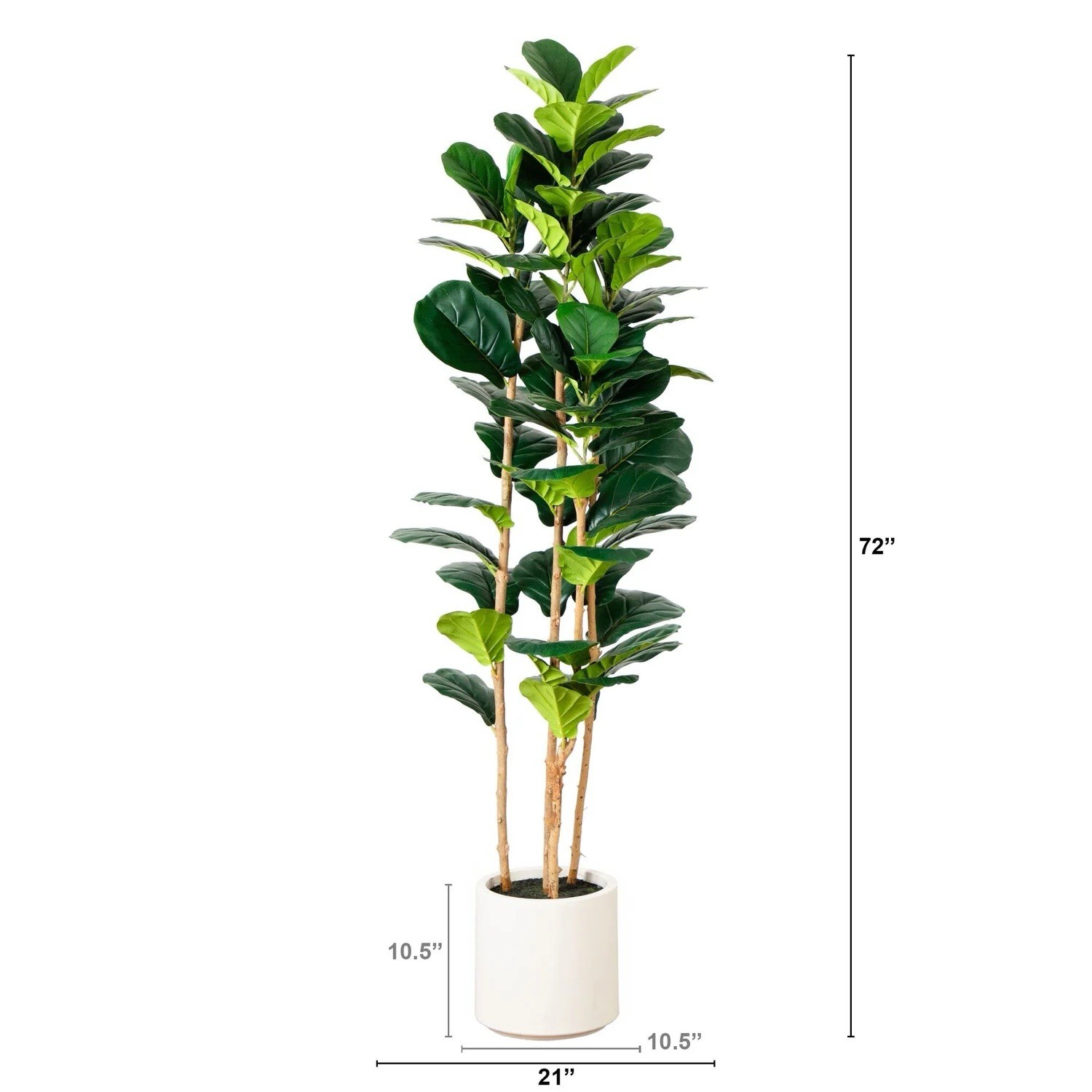 6 Ft. Artificial Fiddle Leaf Tree in Decorative White Planter.