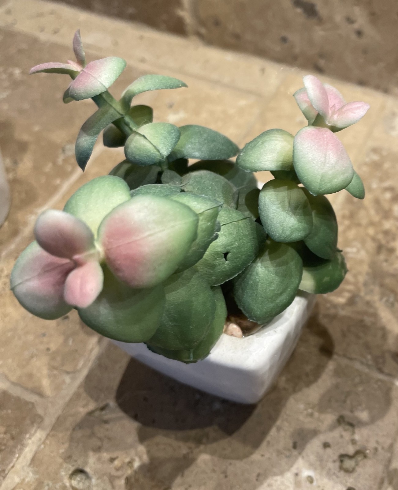 Lot of 5 artificial succulents in small white ceramic pots