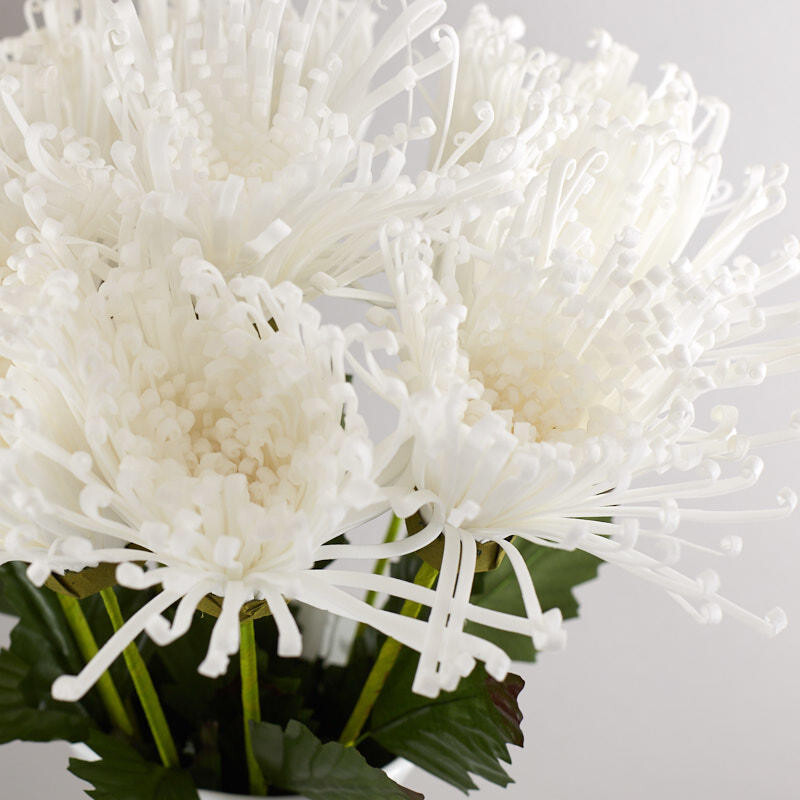 Set of 12 White Artificial Fuji Mum Stems