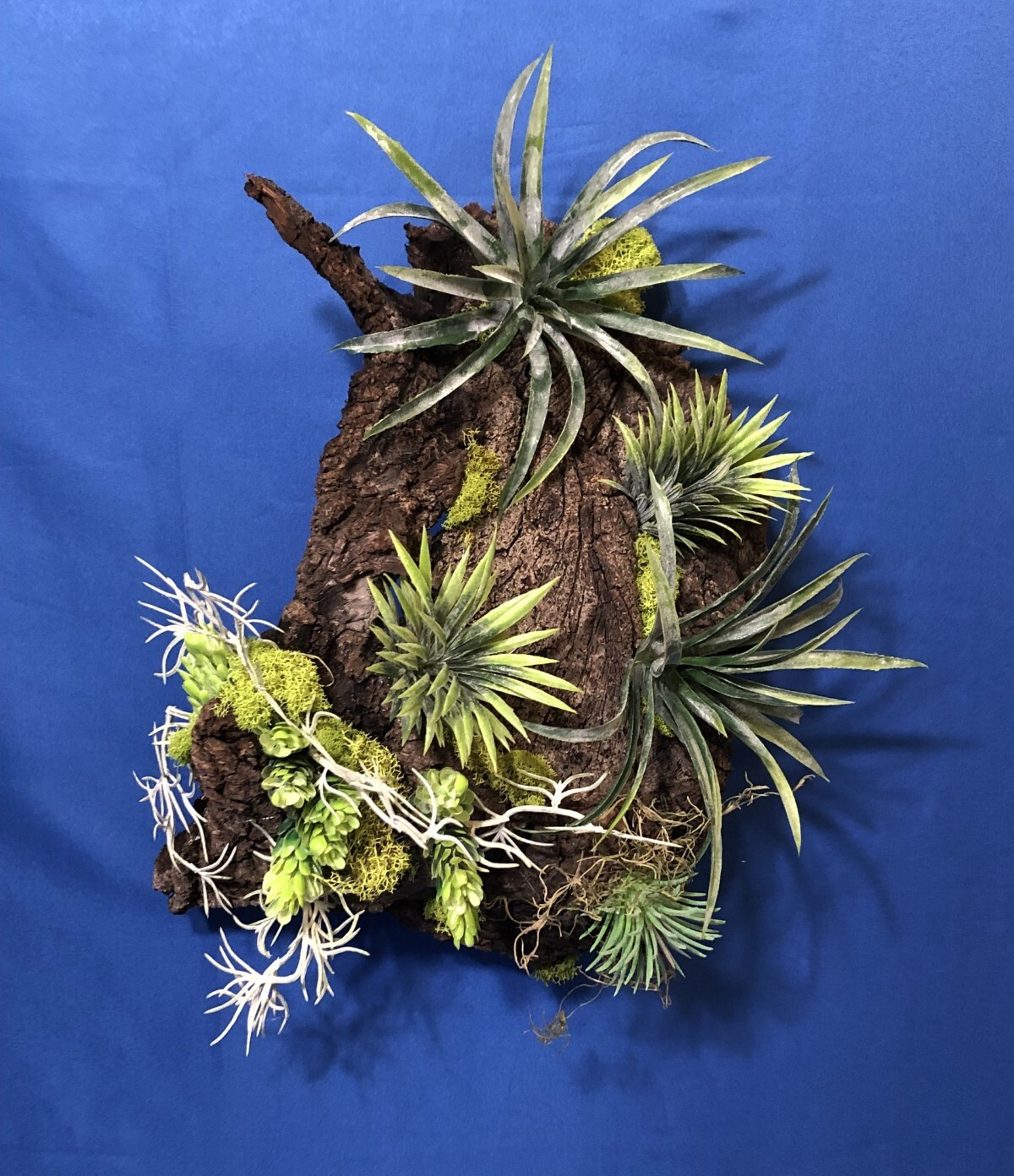 Artificial Succulent Air Plant Wall Art Home Office Mounted on Real Wood Bark