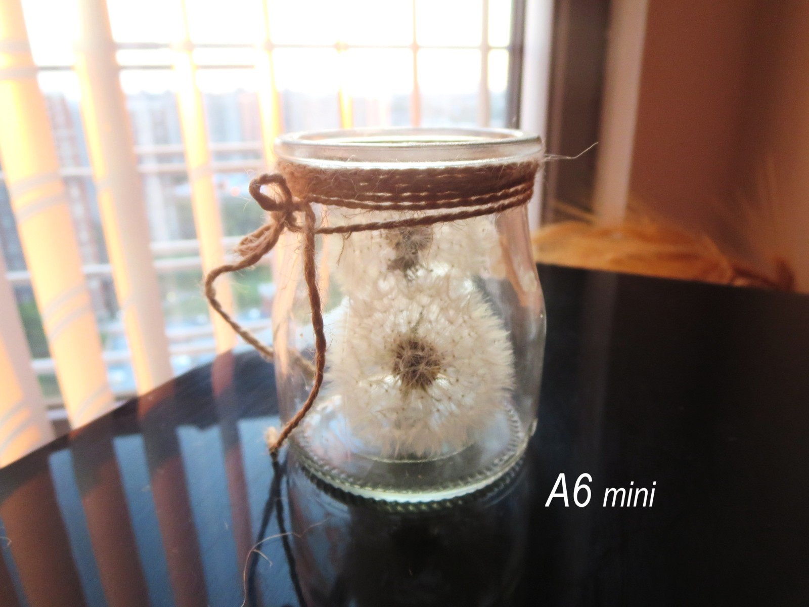 Dried Dandelion Art Dandelion Flower For Craft Dried Flowers decor Dandelions