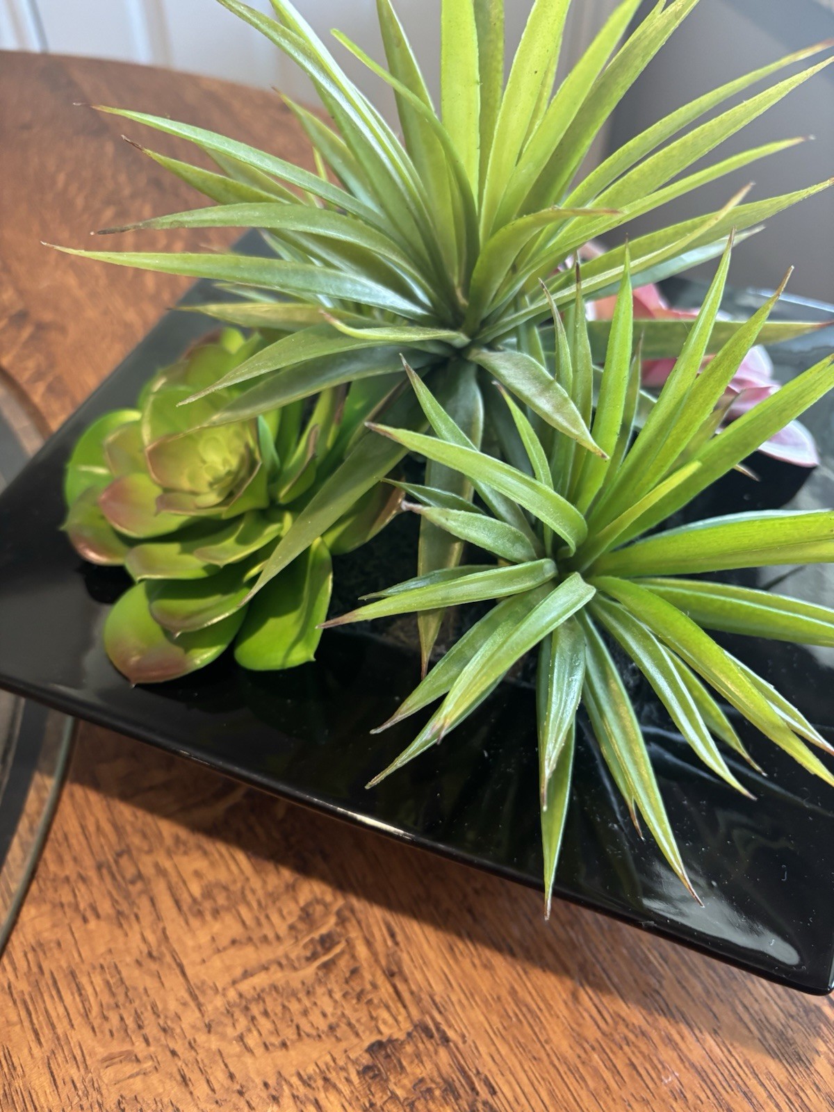 Pier 1 Imports Faux Succulent & Black Glass Organic Arrangement Retired