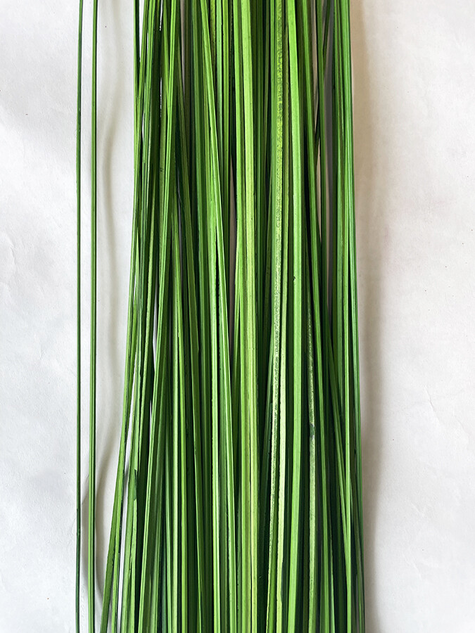 Wispies Pack of 100 Stems 4ft Green