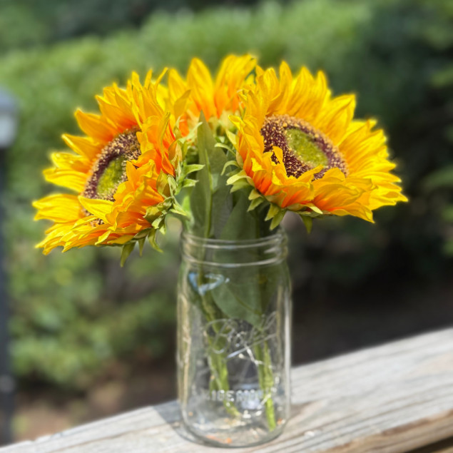 Artificial Flower Arrangement 32oz Mason Jar LED Fall Rustic Home Floral Decor