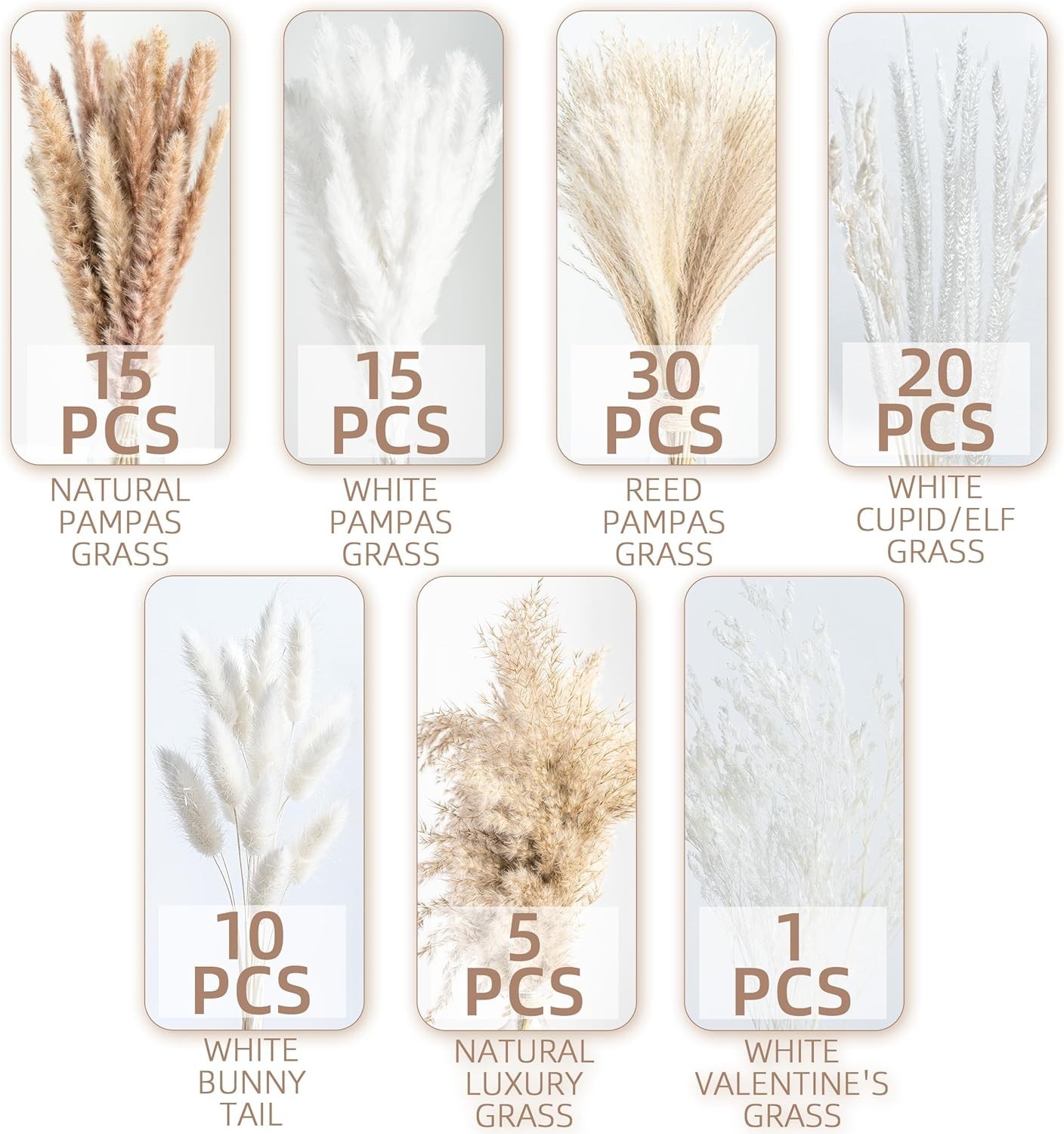 Dried Pampas Grass Decor