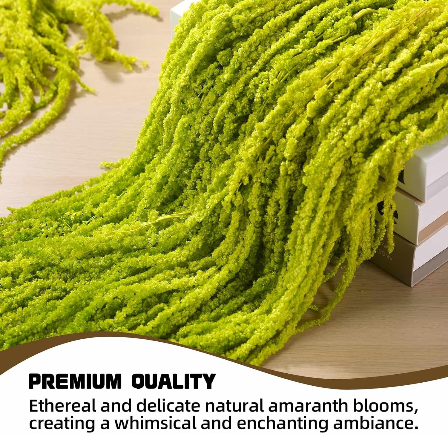 5 PCS Dried Amaranthus Hanging Flowers Natural Preserved Chartreuse 24 Inch