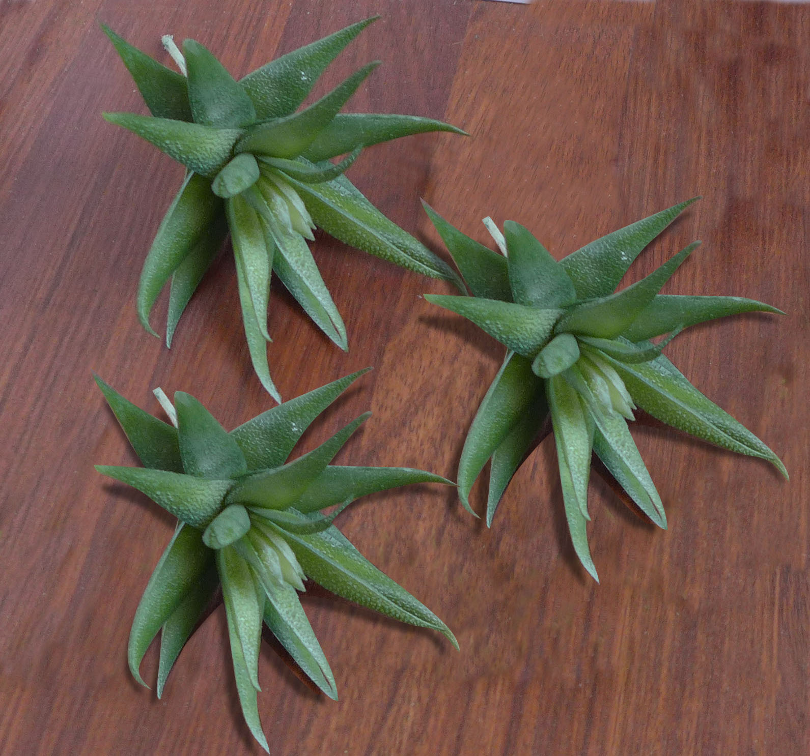 3 Pcs Artificial Aloe Succulents Plants Landscape