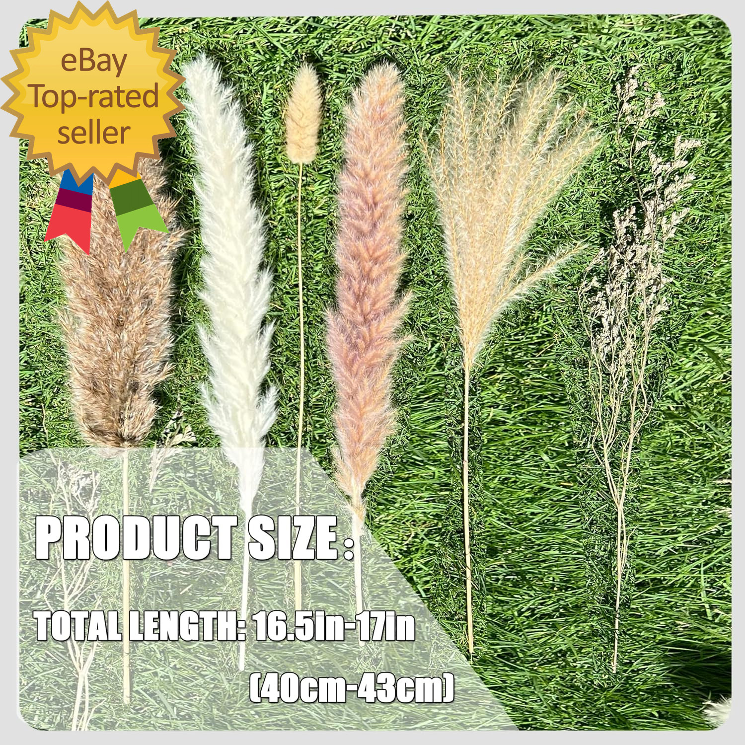 100Pcs Pampas Grass Boho Home Decor 17 Inch Natural Dried Flowers-Pampas
